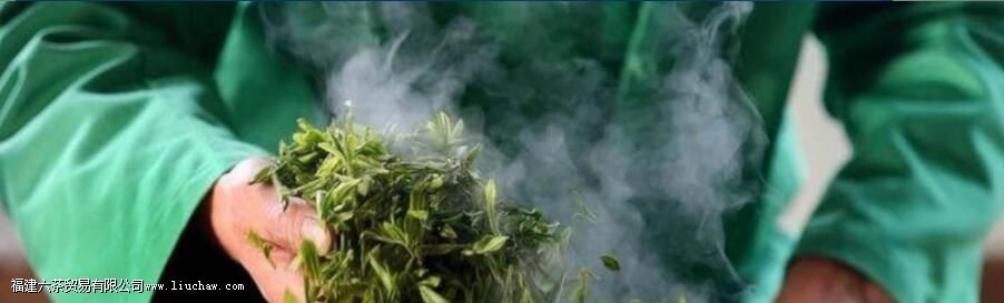 �ʲ�Ҷɱ����Ҫ���յ�Ҫ������Щ