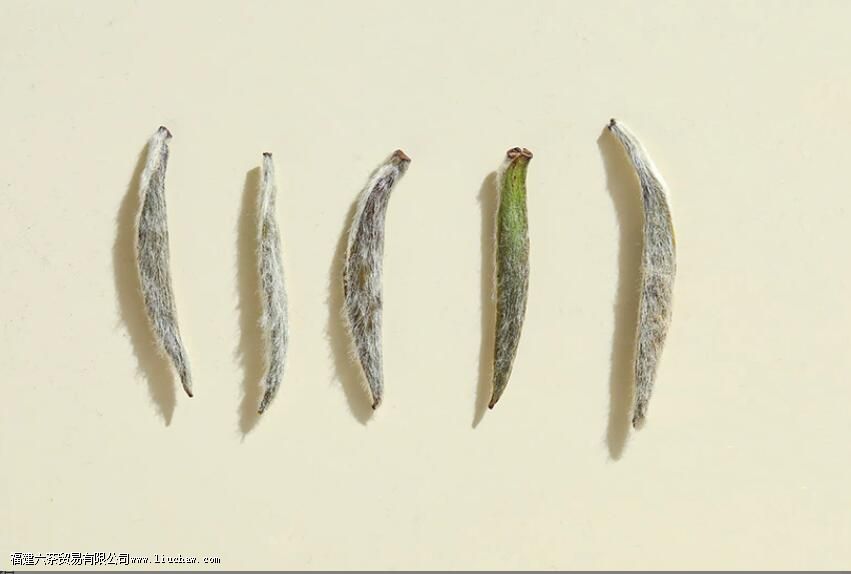 �����Ƚ�ͻ���������Ҷ���㶼�ȹ���