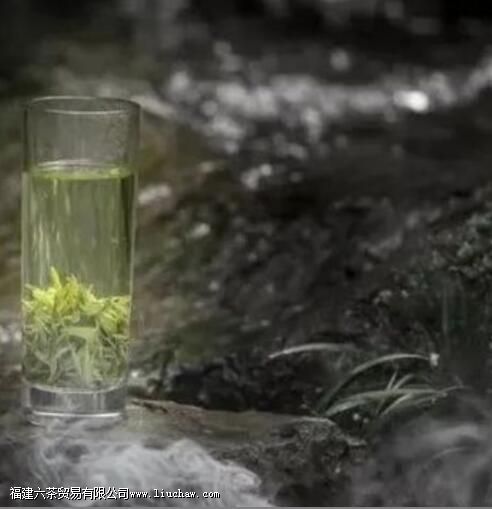 霄坑野生茶,是什么茶种 霄坑野生茶,是什么茶种