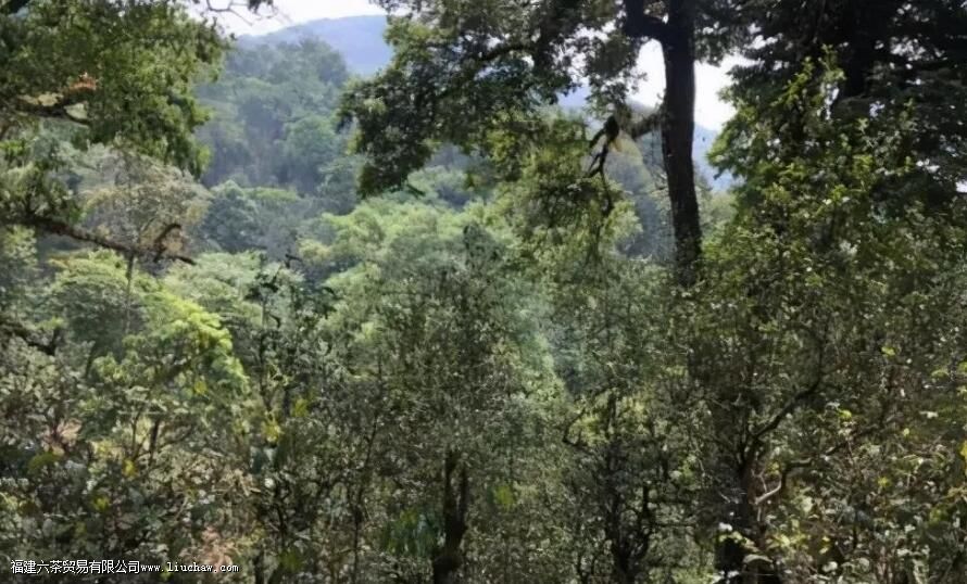 С������ʲô��