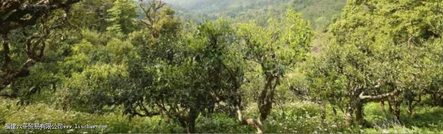 С������ʲô��