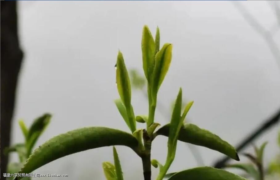 С��������ʲô��