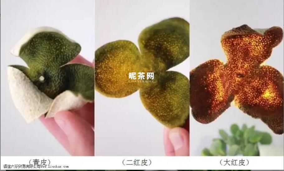 小青柑的橘皮可以做陈皮用吗 小青柑的橘皮可以做陈皮用吗