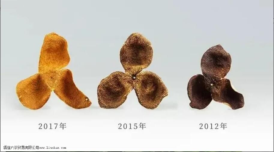 小青柑的橘皮可以做陈皮用吗 小青柑的橘皮可以做陈皮用吗