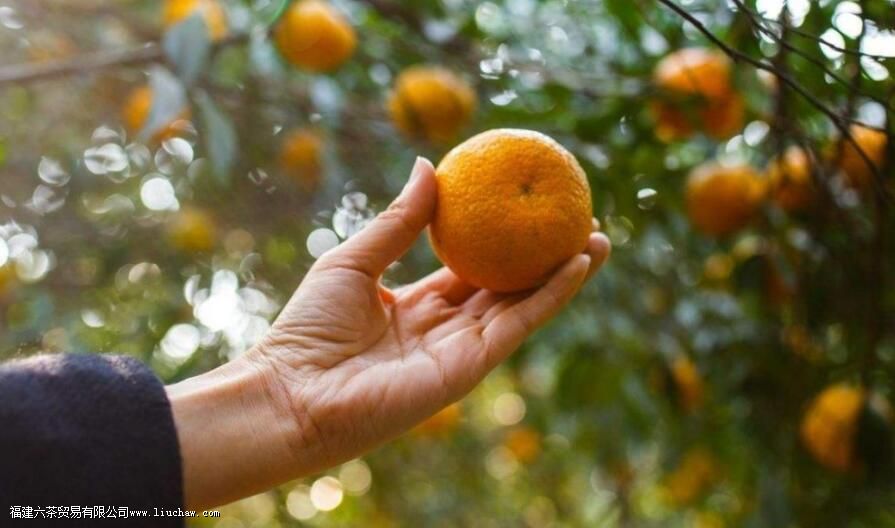 С��̺ͳ�Ƥ��ʲô����