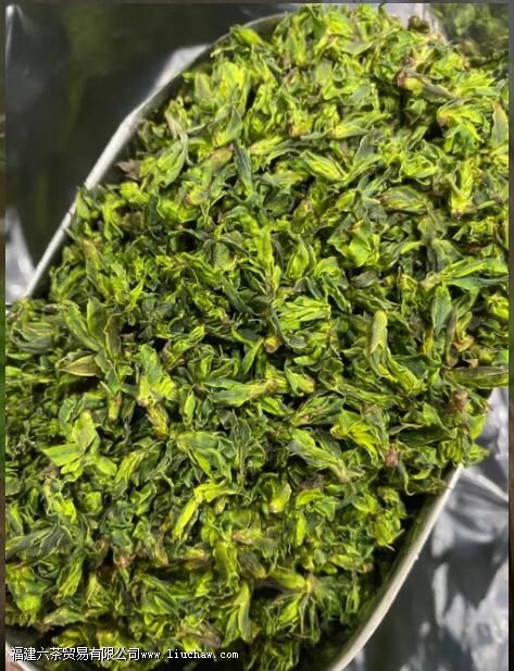 小叶苦丁茶是什么茶 小叶苦丁茶是什么茶