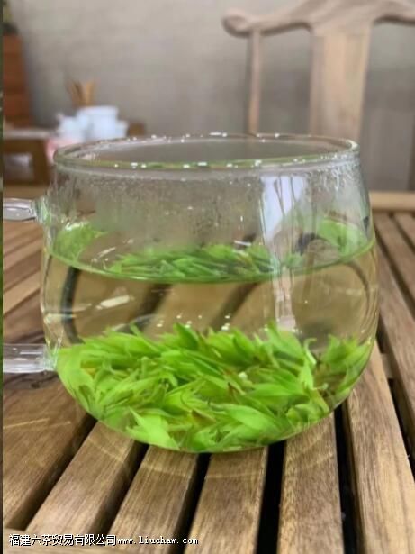 小叶苦丁茶是什么茶 小叶苦丁茶是什么茶