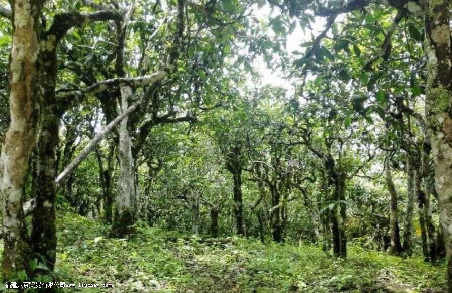 �°����ն�������Щ�ص�