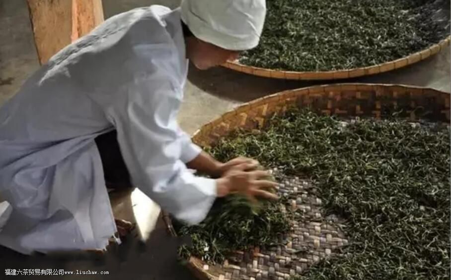 新工艺白茶的制作工序是怎样的 新工艺白茶的制作工序是怎样的
