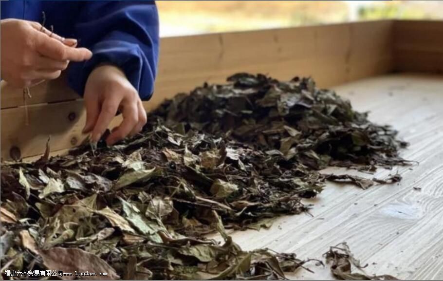 新工艺白茶的制作工序是怎样的 新工艺白茶的制作工序是怎样的