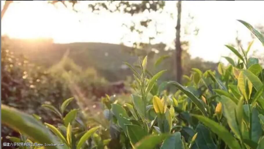 �����ײ��� �����ײ���ʲô��