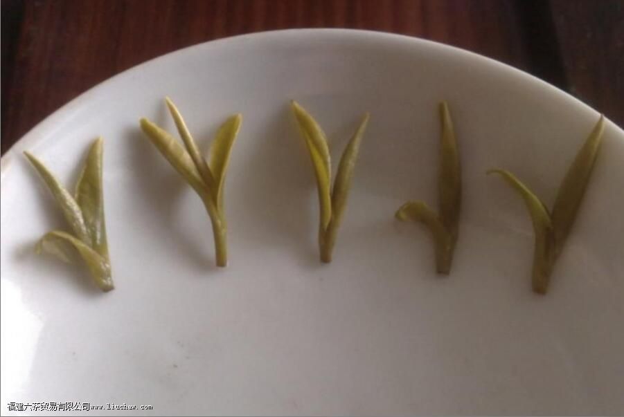 ���ݲ�׵ĳ���