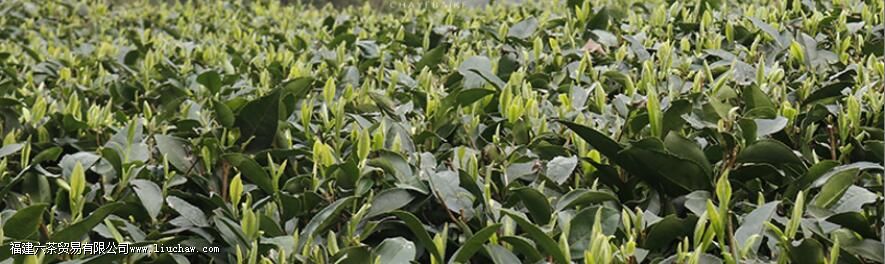 �˹��ײ���ʲô��