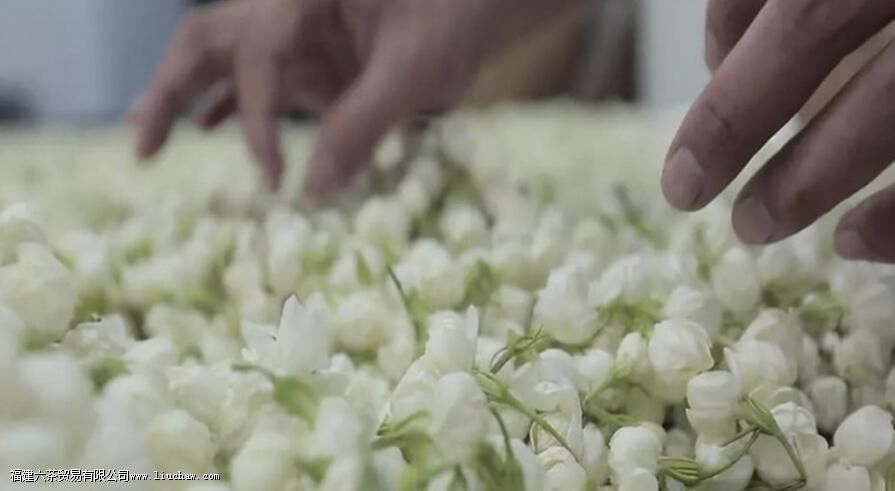 ��Ʋ�Ҷ��ʲô��˼