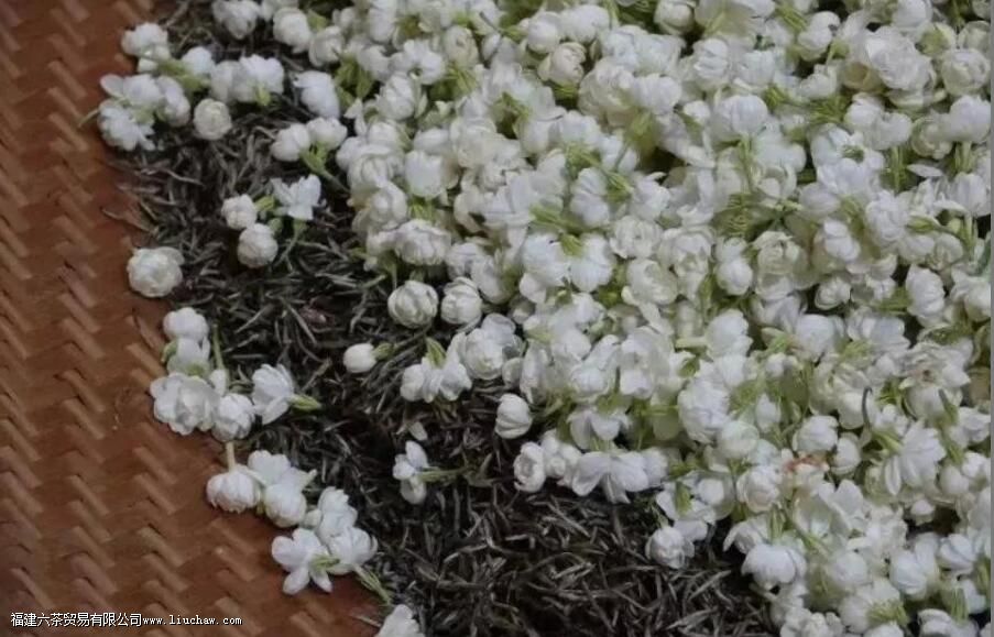 ��Ʋ�Ҷ��ʲô��˼