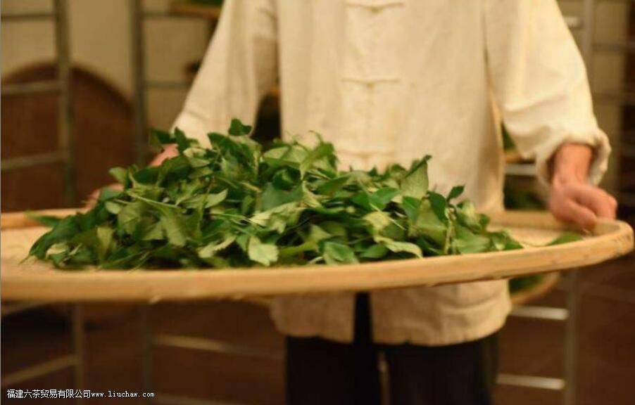 �Ҳ�ļӹ����ս���