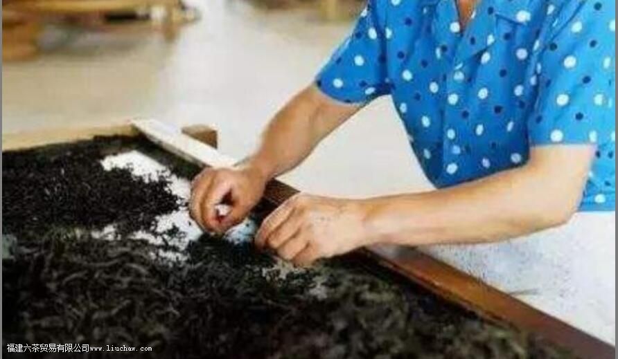 �Ҳ�ļӹ����ս���