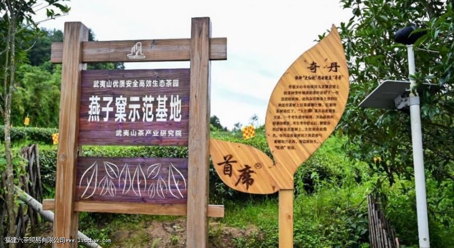 ����������ʲô��