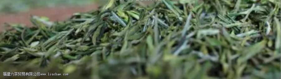 Ұ����ҶΪʲô���ܹ�