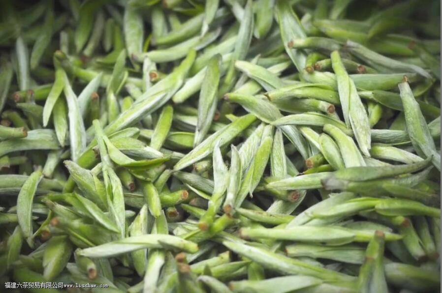 一斤白毫银针多少颗芽头 一斤白毫银针多少颗芽头