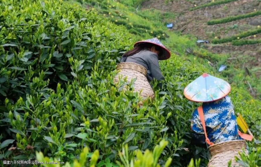 һ�Ķ���̫ƽ��� ϸ˵̫ƽ�����Ʒ���ص������