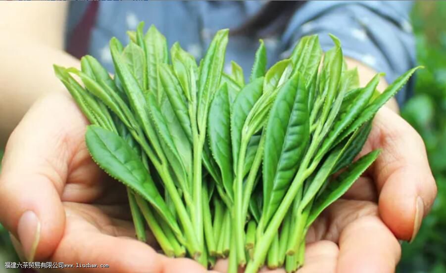 һ�Ķ���̫ƽ��� ϸ˵̫ƽ�����Ʒ���ص������