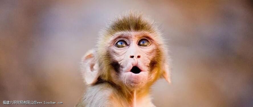 һ�Ķ���̫ƽ��� ϸ˵̫ƽ�����Ʒ���ص������