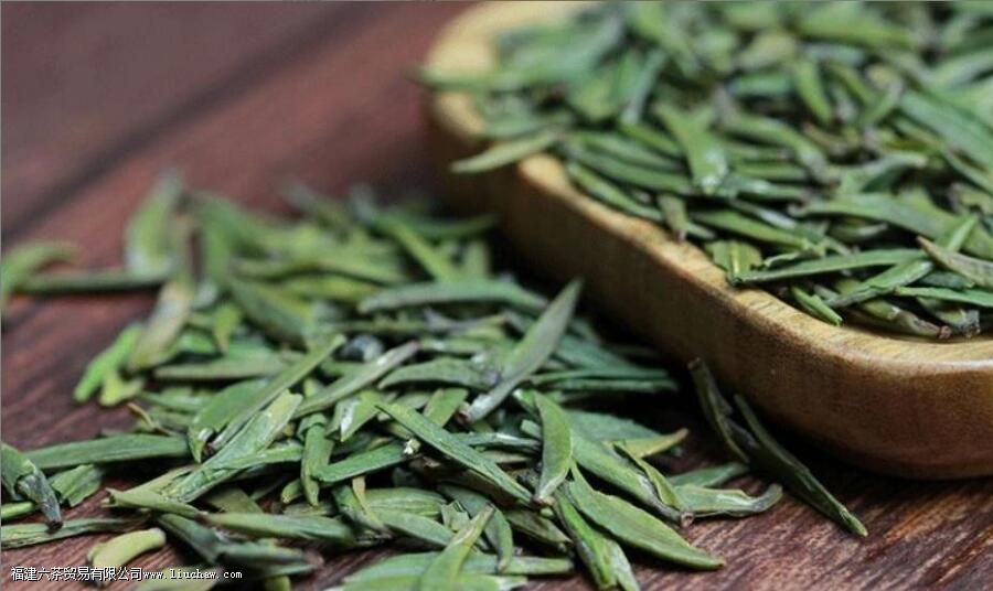 宜宾早白尖是什么茶 宜宾早白尖是什么茶