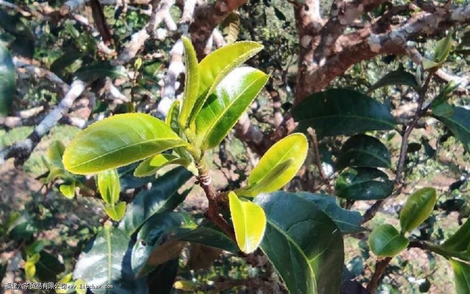 �а�������ն�����ص�