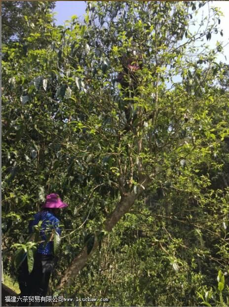 �а�������ն�����ص�