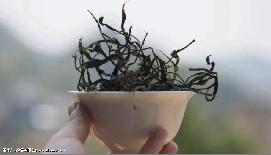 易武天门山普洱茶的特点 易武天门山普洱茶的特点