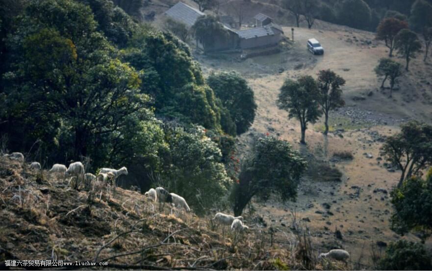 ���´�ѩɽ�ն����ص�