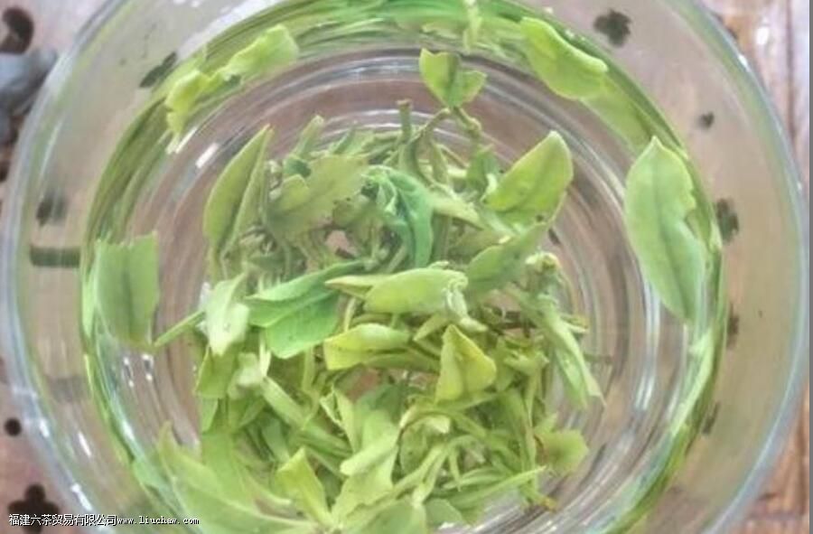 玉岩峰茶叶的特征 玉岩峰茶叶的特征