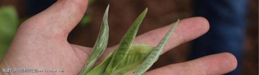 �¹������ʲô����