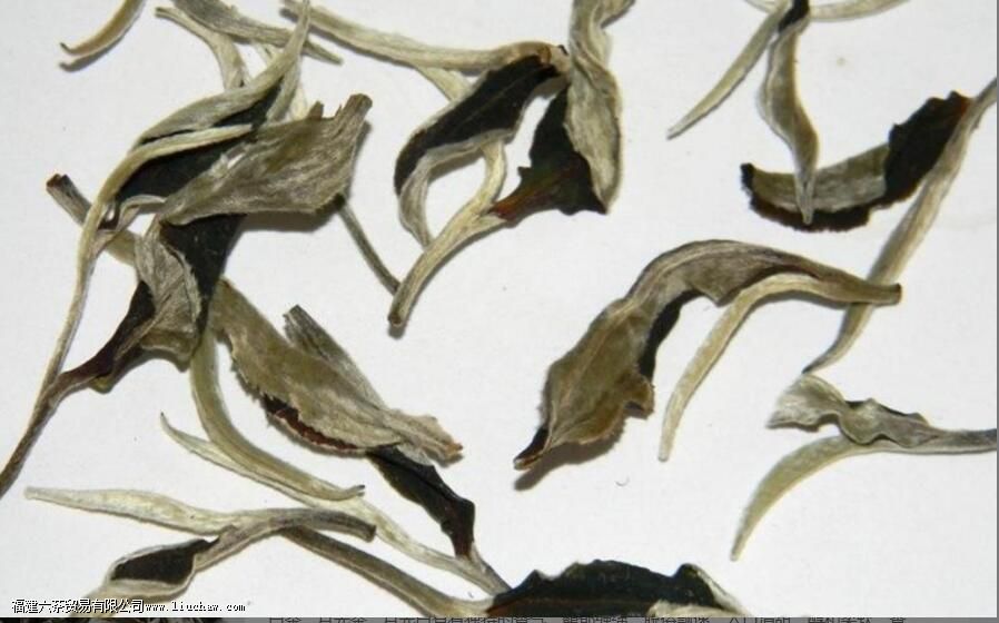 �¹������ʲô����