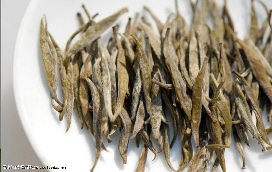 �����Ʋ���ʲô��