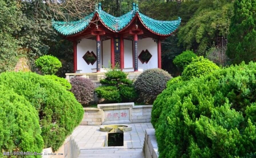 �����Ʋ���ʲô��