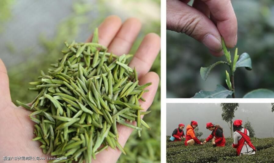 �����Ʋ���ʲô��