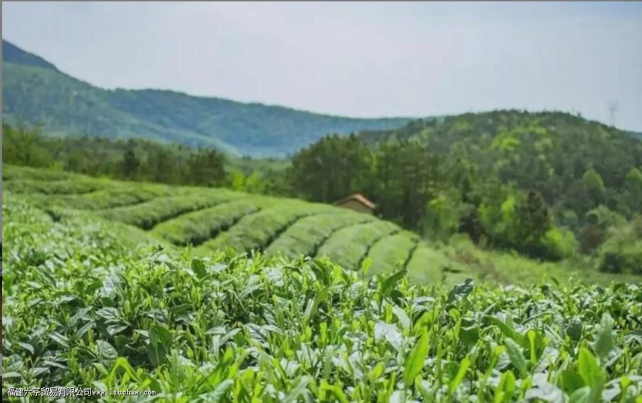 Խ��������ʲô��