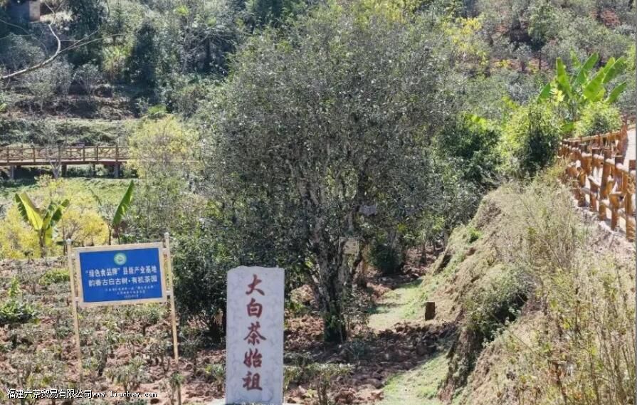 ���ϰײ���ص�