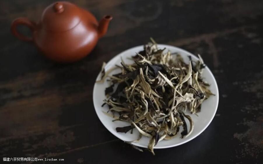 云南白茶和福建白茶有什么区别 云南白茶和福建白茶有什么区别