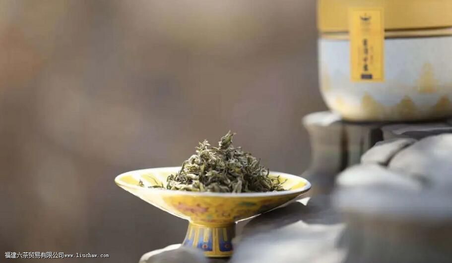 �紺��¶����ʲô��