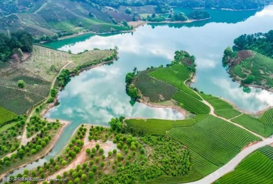 摘茶叶一天能摘多少斤 摘茶叶一天能摘多少斤