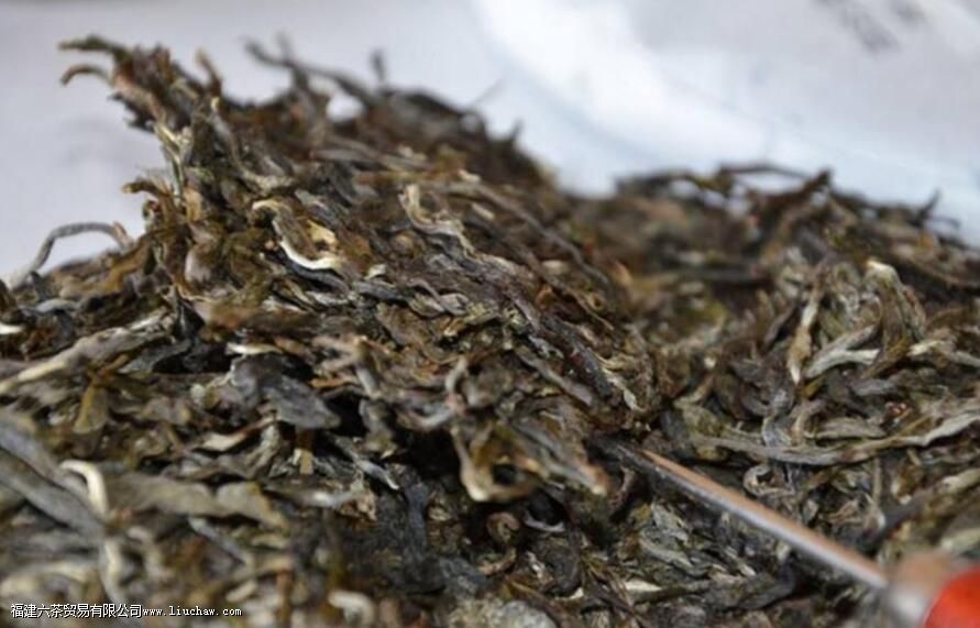 �ż�կ�ն������