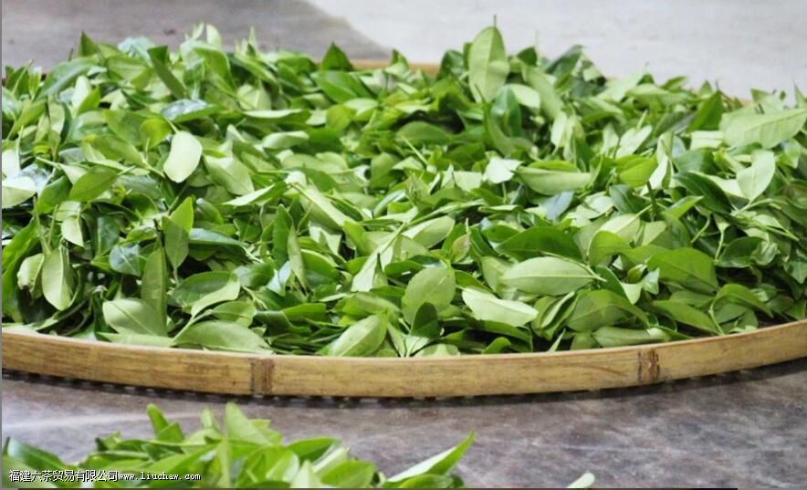 漳平水仙和铁观音的区别 漳平水仙和铁观音的区别