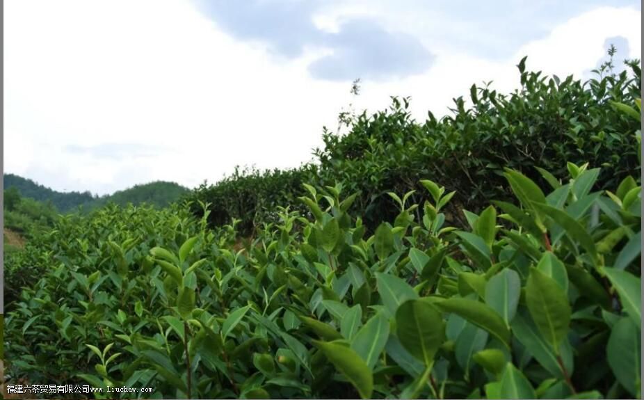 ��ƽˮ����ȫ���͵���