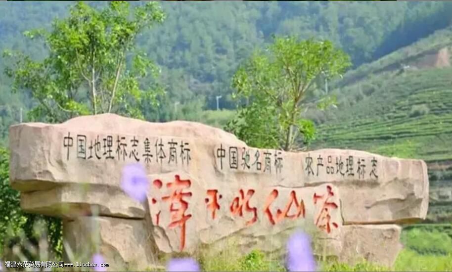 ��ƽˮ����ȫ���͵���