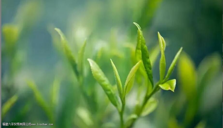 ���ࡢ���ࡢɹ�ࡢҡ�࣬�Ʋ��еĸ��֡��ࡱ�кβ�ͬ