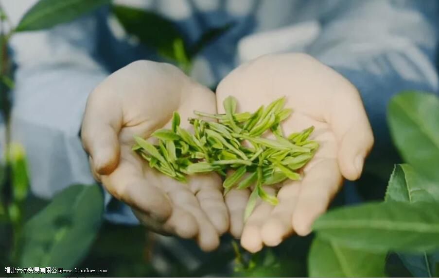 ���ࡢ���ࡢɹ�ࡢҡ�࣬�Ʋ��еĸ��֡��ࡱ�кβ�ͬ