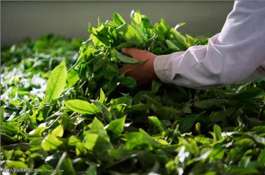 ���ࡢ���ࡢɹ�ࡢҡ�࣬�Ʋ��еĸ��֡��ࡱ�кβ�ͬ